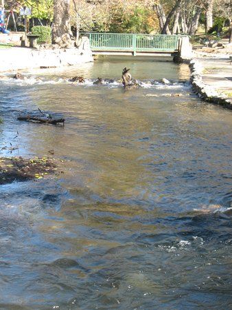 Murphys Community Park